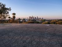 Urban Cityscape of Los Angeles at Dawn
