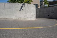 a person riding a skateboard on top of a cement wall with a tree in the background