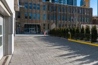 large building in the background with a few trees by it on a sidewalk in the foreground