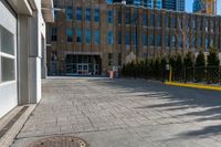 large building in the background with a few trees by it on a sidewalk in the foreground