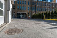 large building in the background with a few trees by it on a sidewalk in the foreground