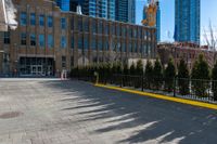 large building in the background with a few trees by it on a sidewalk in the foreground