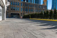 large building in the background with a few trees by it on a sidewalk in the foreground