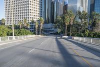 Urban Cityscape with Skyscrapers and Highways