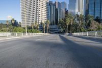 Urban Cityscape with Skyscrapers and Highways