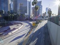 Urban Cityscape with Skyway Bridge and Skyscrapers on a Sunny Day