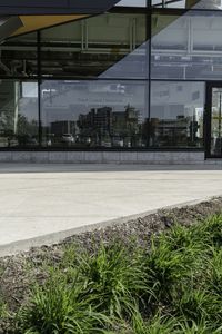 the sidewalk is surrounded by grass and plants on the concrete near the building's windows