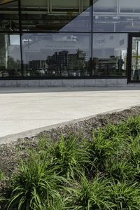 the sidewalk is surrounded by grass and plants on the concrete near the building's windows