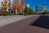 a sidewalk with a bus stop sign next to some buildings and trees with leaves growing on them