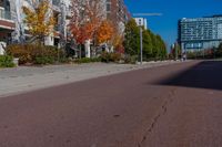 a sidewalk with a bus stop sign next to some buildings and trees with leaves growing on them