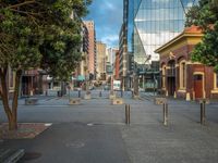 a city street has a lot of trees and buildings on either side of it with several poles to guard them