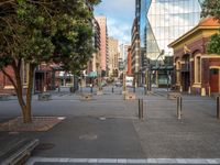 a city street has a lot of trees and buildings on either side of it with several poles to guard them