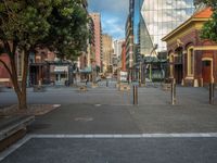 a city street has a lot of trees and buildings on either side of it with several poles to guard them