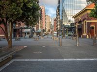 a city street has a lot of trees and buildings on either side of it with several poles to guard them