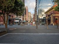 a city street has a lot of trees and buildings on either side of it with several poles to guard them