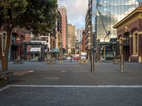 a city street has a lot of trees and buildings on either side of it with several poles to guard them