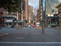 a city street has a lot of trees and buildings on either side of it with several poles to guard them