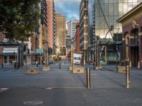 a city street has a lot of trees and buildings on either side of it with several poles to guard them