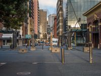 a city street has a lot of trees and buildings on either side of it with several poles to guard them