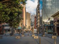 a city street has a lot of trees and buildings on either side of it with several poles to guard them