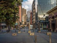 a city street has a lot of trees and buildings on either side of it with several poles to guard them