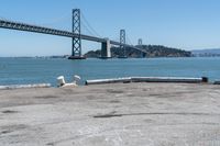 a dog is lying down in front of the water under a bridge and there is a dog on a concrete ledge overlooking the bay