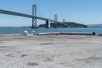 a dog is lying down in front of the water under a bridge and there is a dog on a concrete ledge overlooking the bay