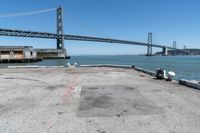 a dog is lying down in front of the water under a bridge and there is a dog on a concrete ledge overlooking the bay