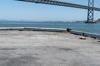 a dog is lying down in front of the water under a bridge and there is a dog on a concrete ledge overlooking the bay