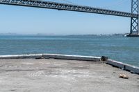 a dog is lying down in front of the water under a bridge and there is a dog on a concrete ledge overlooking the bay