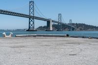 a dog is lying down in front of the water under a bridge and there is a dog on a concrete ledge overlooking the bay