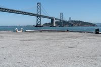 a dog is lying down in front of the water under a bridge and there is a dog on a concrete ledge overlooking the bay