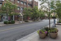 a city street with several planters that are in front of some buildings on the sidewalk