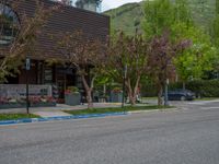 street corner with tree on the corner of the corner and a building behind it that is surrounded by multiple windows and a perforated brown lattice