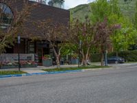 street corner with tree on the corner of the corner and a building behind it that is surrounded by multiple windows and a perforated brown lattice