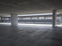 Urban Concrete Jungle: Open Space in Berlin