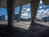 Urban Concrete Jungle: Exploring Miami's Cityscape