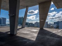 Urban Concrete Jungle: Exploring Miami's Cityscape