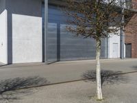 the side of an empty parking garage near a tree on a street corner, with its shadow cast on it