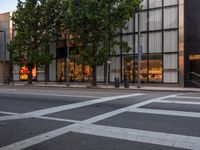 the white lines are painted on the road outside a building and trees are in front the windows