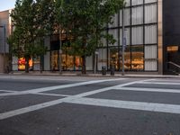 the white lines are painted on the road outside a building and trees are in front the windows