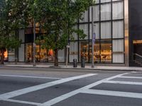 the white lines are painted on the road outside a building and trees are in front the windows