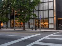 the white lines are painted on the road outside a building and trees are in front the windows