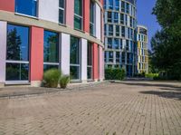 sidewalk in front of office buildings with two windows and plants in the foreground on the right