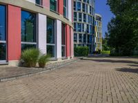 sidewalk in front of office buildings with two windows and plants in the foreground on the right