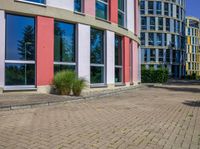 sidewalk in front of office buildings with two windows and plants in the foreground on the right