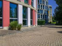 sidewalk in front of office buildings with two windows and plants in the foreground on the right