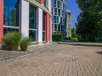 sidewalk in front of office buildings with two windows and plants in the foreground on the right