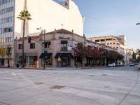 Urban Day in Los Angeles: Clear Skies and Classic Architecture