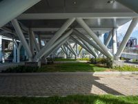 green grass with a brick path underneath an elevated structure with multiple long metal pillars and columns